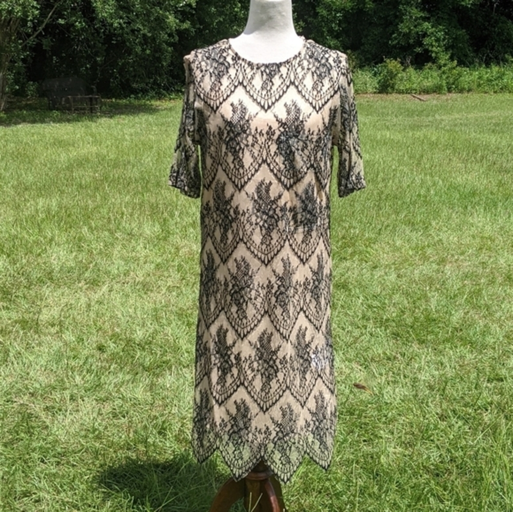 NWT Caara two piece black nude lace sheeth dress M